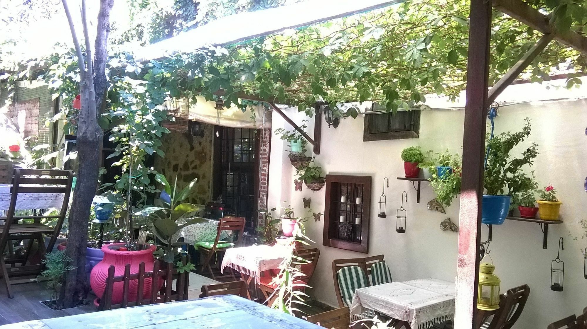 Antikhan Butik Otel Ayvalı Exterior foto